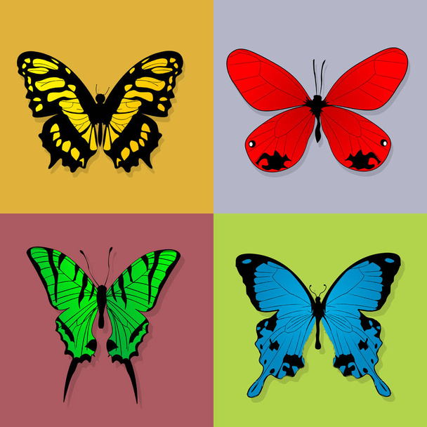 quattro farfalle
 - Vettoriali, immagini