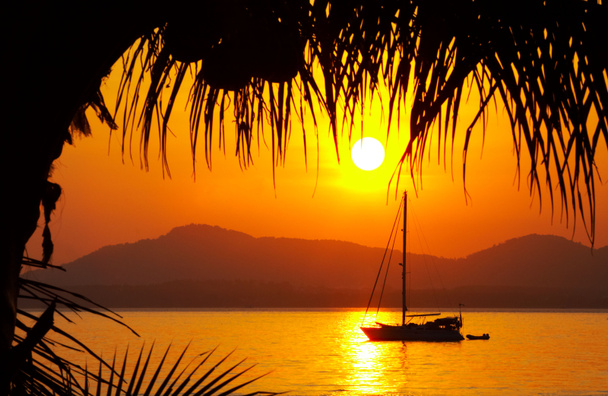 kokosnoot zonsondergang - Foto, afbeelding