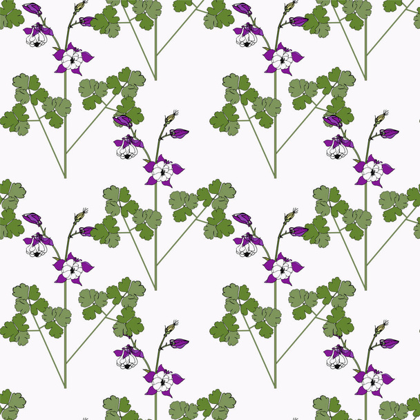 Seamless aquilegia pattern. Monochrome flowers leaves hand drawn isolated flat design stock vector illustration for web, for print - Vektor, Bild
