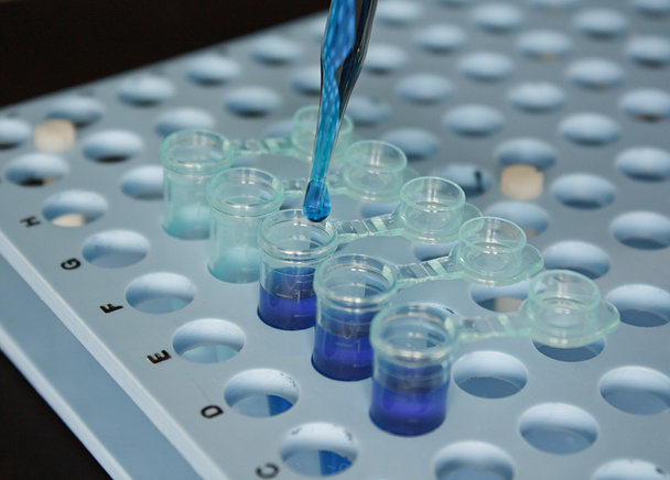 Biotechnology preparing vials with pipette - Photo, Image