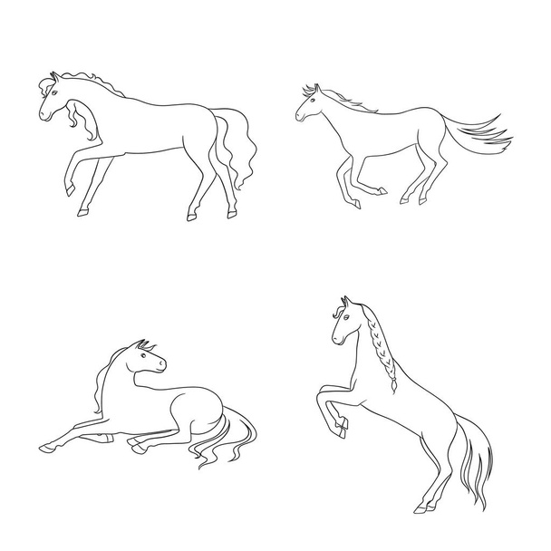 Vector illustration of stallion and galloping symbol. Set of stallion and riding vector icon for stock. - Vektor, obrázek