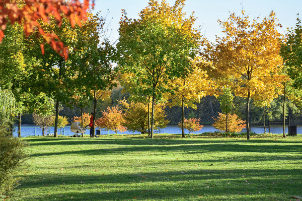 Otoño. La gente camina en el parque de otoño
.  - Foto, Imagen
