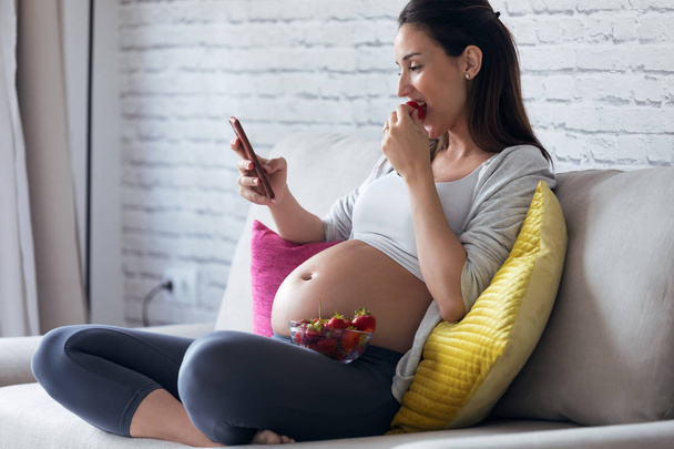 Beautiful pregnant young woman using her mobile phone while eating strawberries on sofa at home. - Foto, immagini