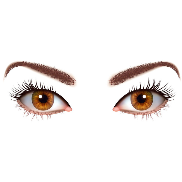 Realistyczne brązowe oczy z rzęsami i brwi - Wektor, obraz