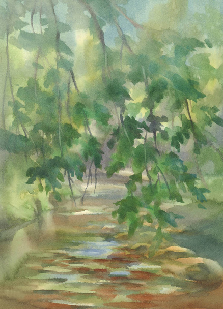 Forest landscape with stones watercolor background. Green summer - Foto, Imagem