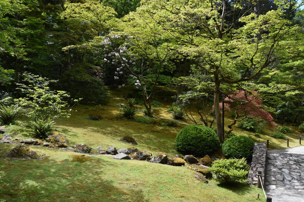 Seattle Japanese Garden in Washington Park arboretum in Seattle, Washington - Foto, afbeelding