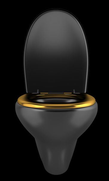 musta wc kulho eristetty mustalla pohjalla
 - Valokuva, kuva
