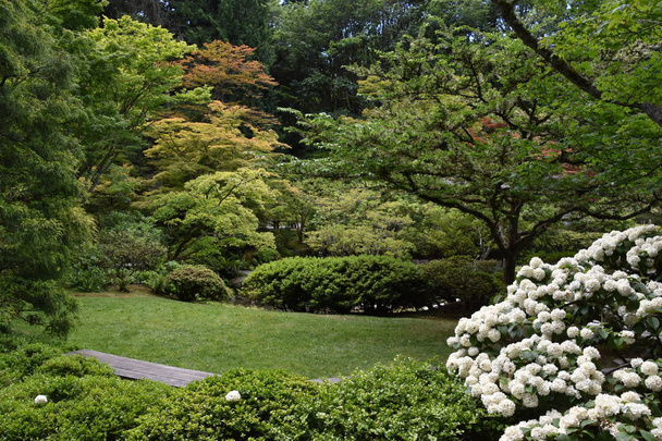 Seattle Japanese Garden in Washington Park arboretum in Seattle, Washington - Foto, afbeelding
