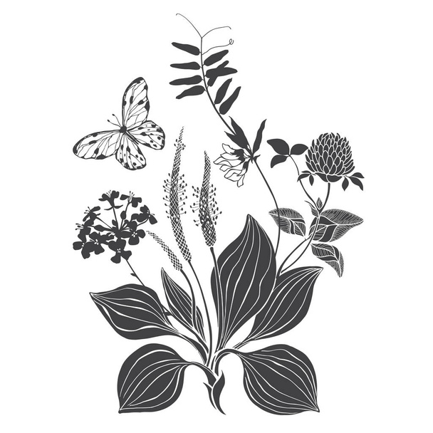 A bouquet of wildflowers and herbs with butterfly. Summer background. Black and white vector illustration. Isolated element for design on white. Silhouette. - Vettoriali, immagini