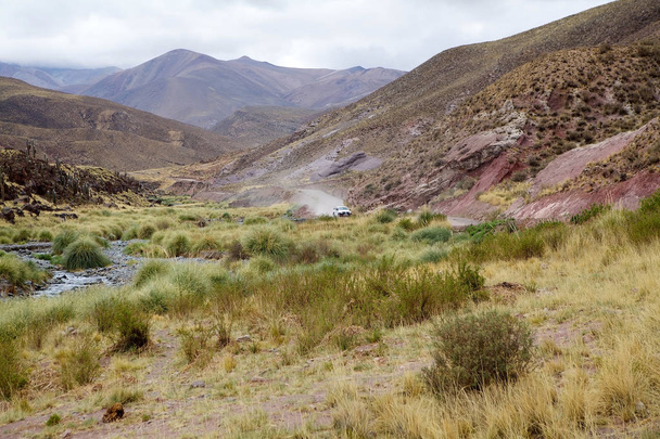 Landscape and road along the Calchaqui Valley, Argentina - Photo, Image