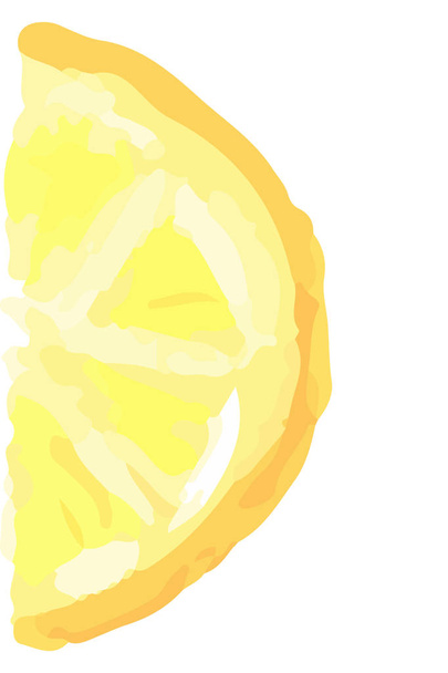 Half of slice of lemon. Hand drawn summer design for logo, sale, banner and backgrounds. - Vector, Image