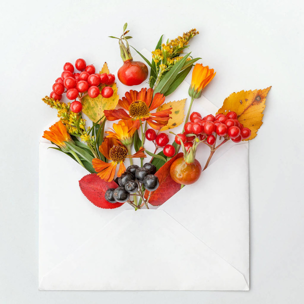 Autumn floral composition. Plants viburnum rowan berries dogrose fresh flowers colorful leaves in mail envelope on white background - Foto, Imagem