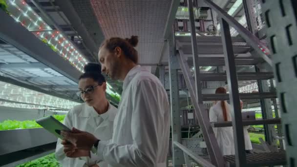 Scientists in white coats with a tablet discuss research on growing fresh healthy plants without GMOs on a modern vertical farm - Footage, Video