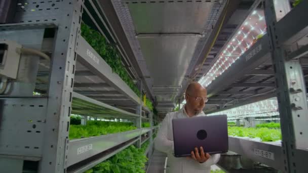 Scientists in white coats with a laptop and a tablet analyzes the work of a vertical farm to grow pure unmodified products in an automated farm. The camera moves on the site on gimbal - Footage, Video