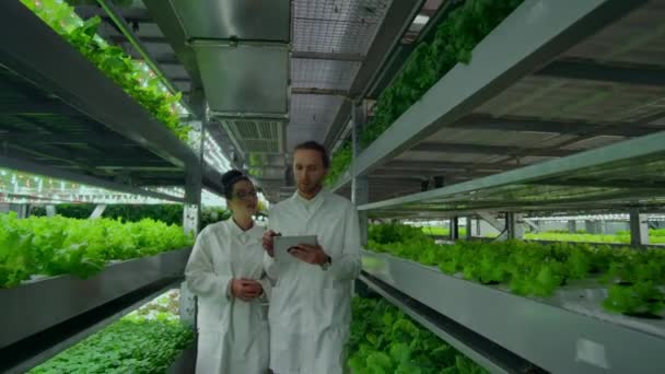 Beyaz önlüklü bir grup bilim adamı, tablet bilgisayarlı dikey bir çiftliğin koridorunda lar ve bitkileri tartışıyorlar. - Video, Çekim