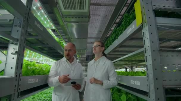 Un hombre y una mujer con batas blancas están en el moderno laboratorio del futuro para cultivar ensaladas y verduras
 - Metraje, vídeo