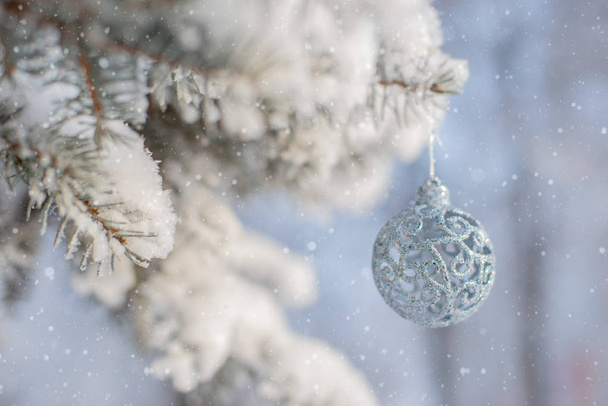 Winter nature Christmas background with frozen spruce, glitter, bokeh, snow. - Photo, Image