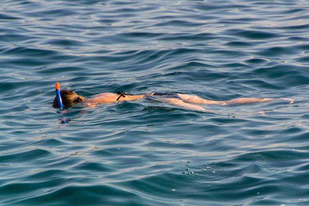 junges Mädchen schwimmt im Meer - Foto, Bild