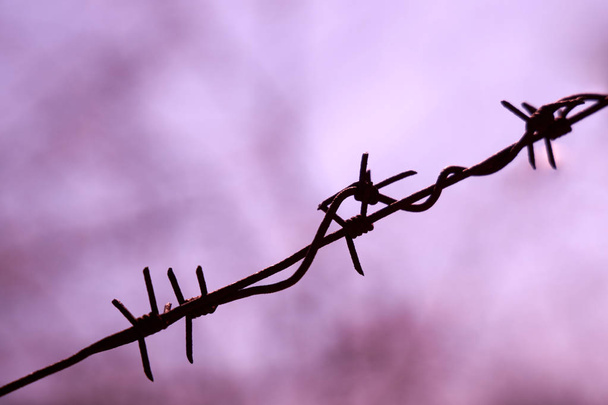 Barbed wire against a lilac sky at sunset - Photo, Image