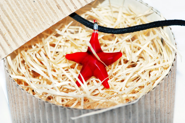 Collar estrella de mar roja
 - Foto, imagen