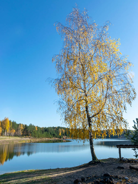 vista al lago, árboles otoñales, cielo azul con nubes blancas
  - Foto, Imagen