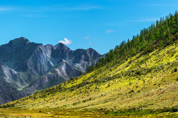 The mountain slopes in rioc the village of Inya. Altai Republic, - Photo, Image