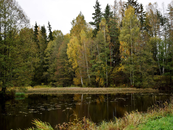 výhled na jezero, podzimní stromy, modrá obloha s bílými mraky  - Fotografie, Obrázek