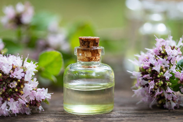 Egy üveg illóolaj és virágzó oregánó - Fotó, kép