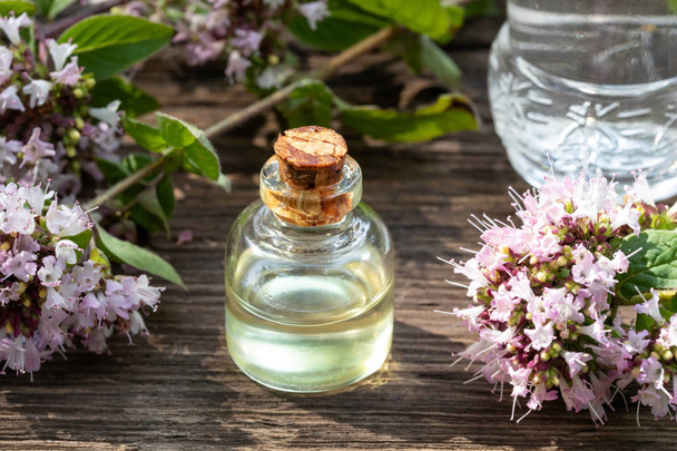 Una bottiglia di olio essenziale con origano fresco in fiore - Foto, immagini