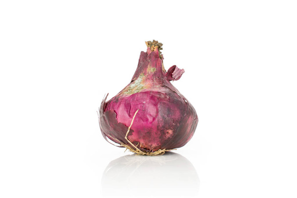 Stale red onion isolated on white - Foto, Imagen
