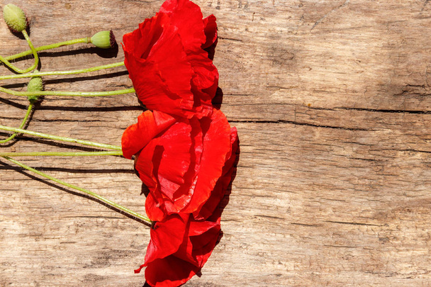 Červený mák Květiny na dřevěné pozadí. Pohled shora, kopie prostor - Fotografie, Obrázek
