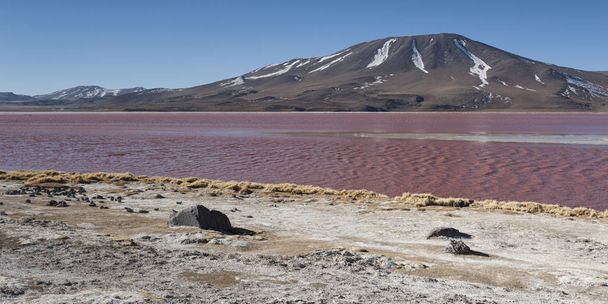 A Vörös-tó, vagy Laguna Colorada, a Altiplano közelében Uyuni belül Eduardo Avaroa National Reserve a Bolíviában a 4300 m tengerszint feletti szint. - Fotó, kép