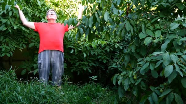 Senior man in Casual kleding, misschien een gepensioneerde, Oefeningen of gymnastiek in de achtertuin of in de tuin. Gebruik als een gezonde levensstijl voor mensen van middelbare leeftijd. - Video