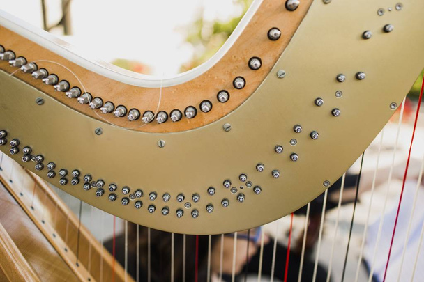 Detail of the strings and mast of a classic harp. - Photo, Image