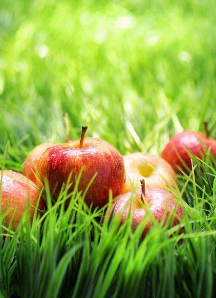 Red apples on green grass - Фото, зображення