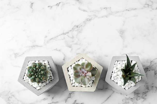 Beautiful succulent plants in stylish flowerpots on marble background, flat lay with space for text. Home decor - Fotografie, Obrázek