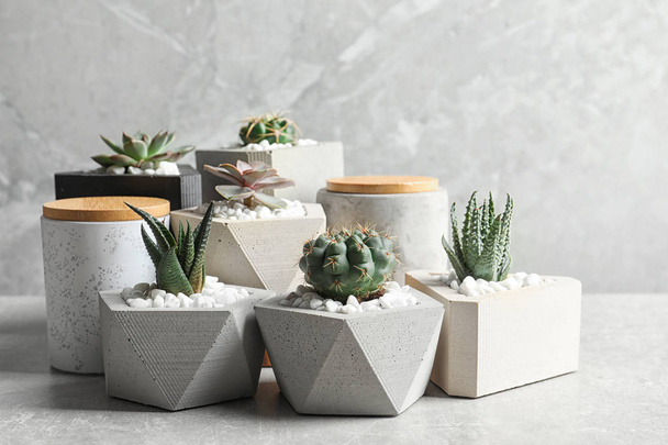 Beautiful succulent plants in stylish flowerpots on table against grey background. Home decor - Foto, Imagen