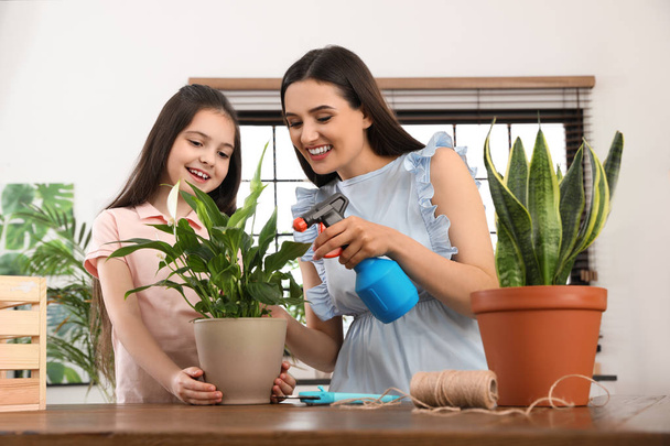 Mother and daughter taking care of plant at home - Фото, изображение