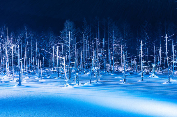 Bellissimo paesaggio esterno con laghetto blu fiume di notte con l
 - Foto, immagini