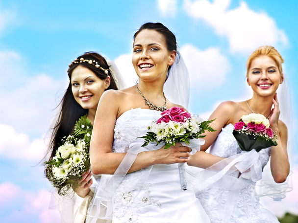 Группа невесты летом на открытом воздухе
. - Фото, изображение