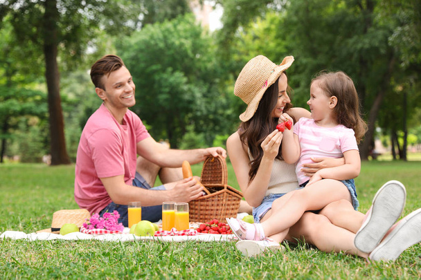 Happy family having picnic in park on summer day - Fotoğraf, Görsel