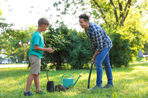 Dad and son planting tree in park on sunny day - Фото, изображение
