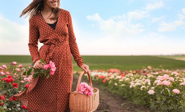 Woman with basket of roses in beautiful blooming field, closeup - Foto, Imagem