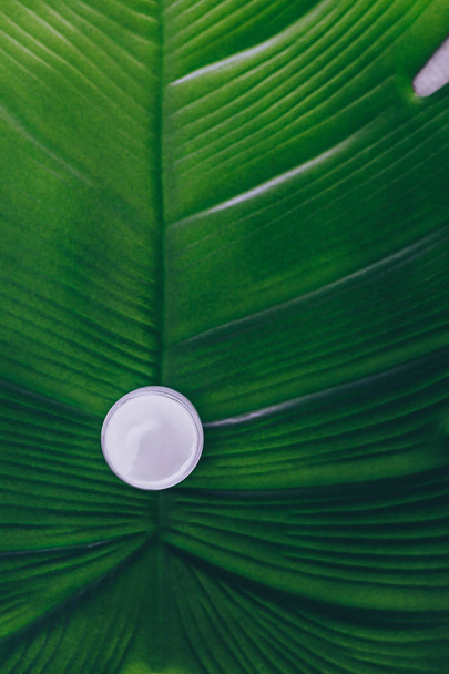 pot of organic moisturizing lotion on top of tropical-looking le - Valokuva, kuva