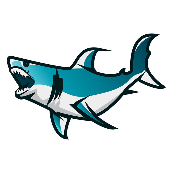 Shark vector illustration. Shark minimalist vector design with white background - Vector, Image