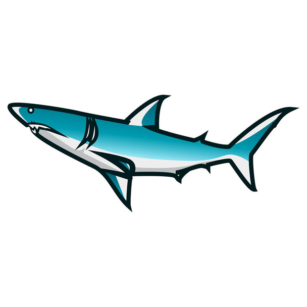 Vektorová ilustrace žraloka. Minimalistický vzhled žraloka s bílým pozadím - Vektor, obrázek