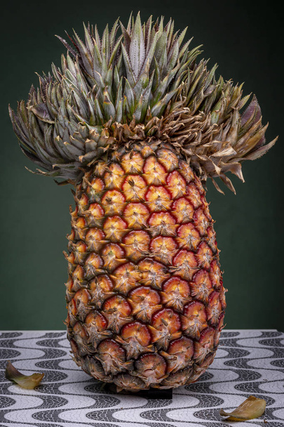 Close up of an upright standing pineapple with an extraordinary top that looks like a Mexican sombrero or Napoleon hat against a dark green background with a couple of fallen leaves - Foto, Imagem