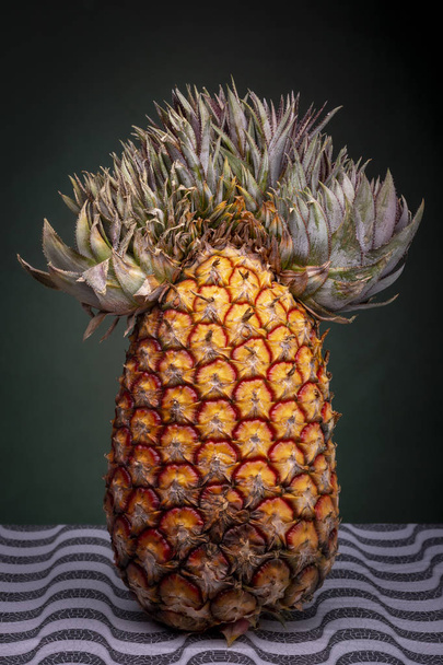 Close up of an upright standing pineapple with an extraordinary top that looks like a Mexican sombrero or Napoleon hat on a patterned surface against a dark green background - Fotoğraf, Görsel