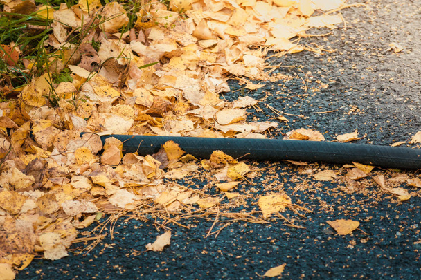 黒いゴム製のホー;seは水やりのための黄色の葉とアスファルト道路に横たわっています. - 写真・画像