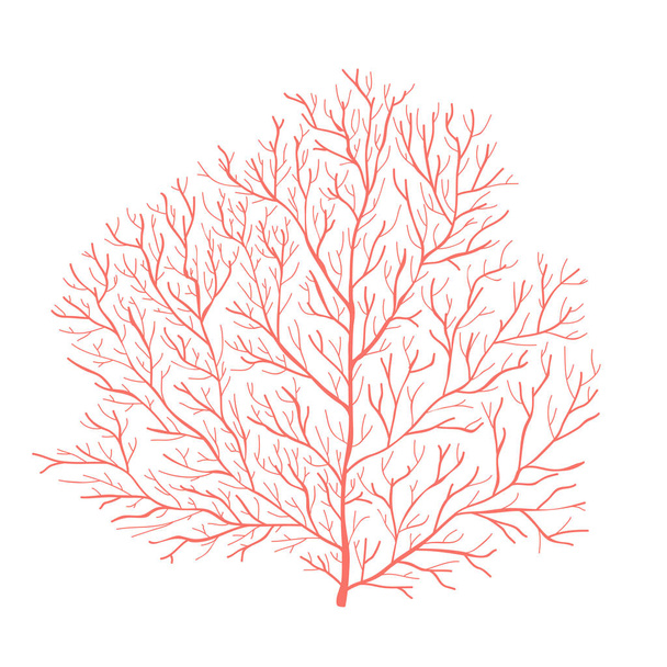 Silhouette corail de mer. Illustration vectorielle
 - Vecteur, image